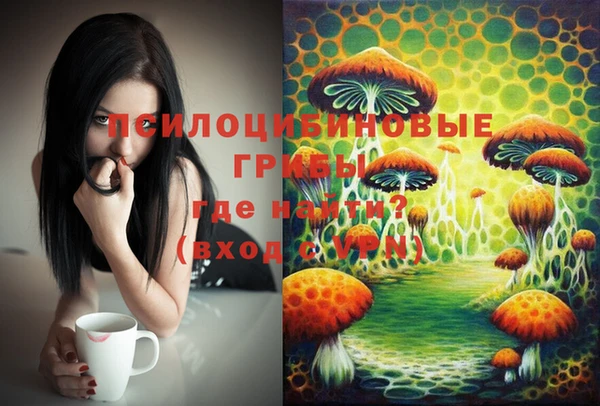 дурь Абдулино