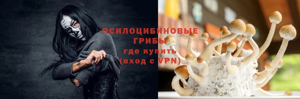 бутират Алзамай