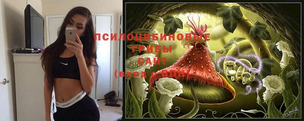 мдпв Семёнов
